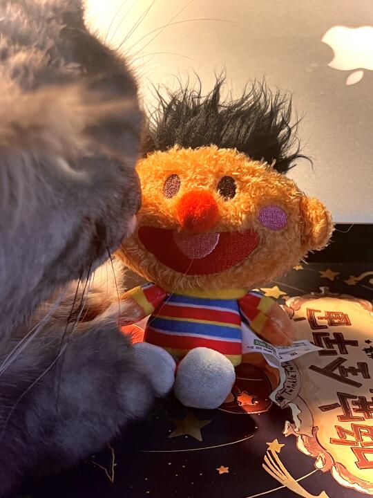 哇 是超可爱的芝麻街🍪