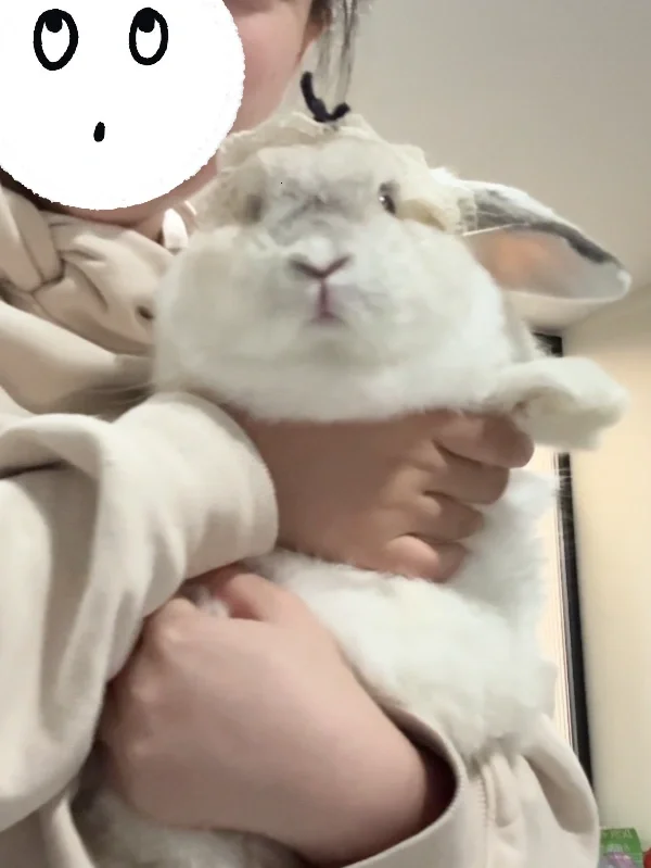 我吃那么胖就是为了妈妈抱着软乎～