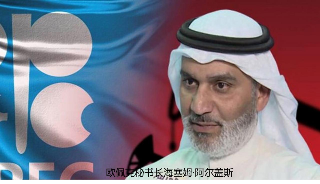 欧佩克警告净零行动将危及全球能源安全

欧佩克（OPEC）警告称，为实现净零排放