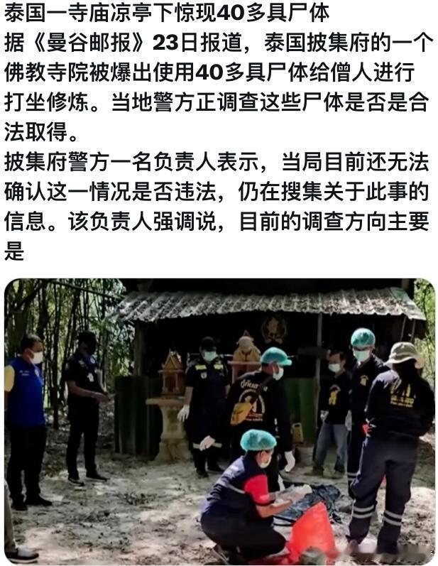 泰国寺庙搜出41具shi体，600多条鳄鱼太可怕了！千万记得一定要跟团去，这样到