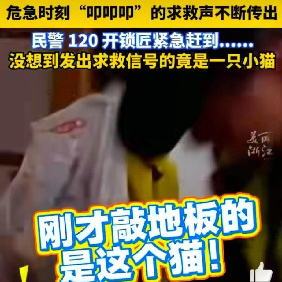 最暖的“毛孩子”！挽救九旬老人
 
杭州一则暖心新闻刷屏网络：九旬老人在家中意外