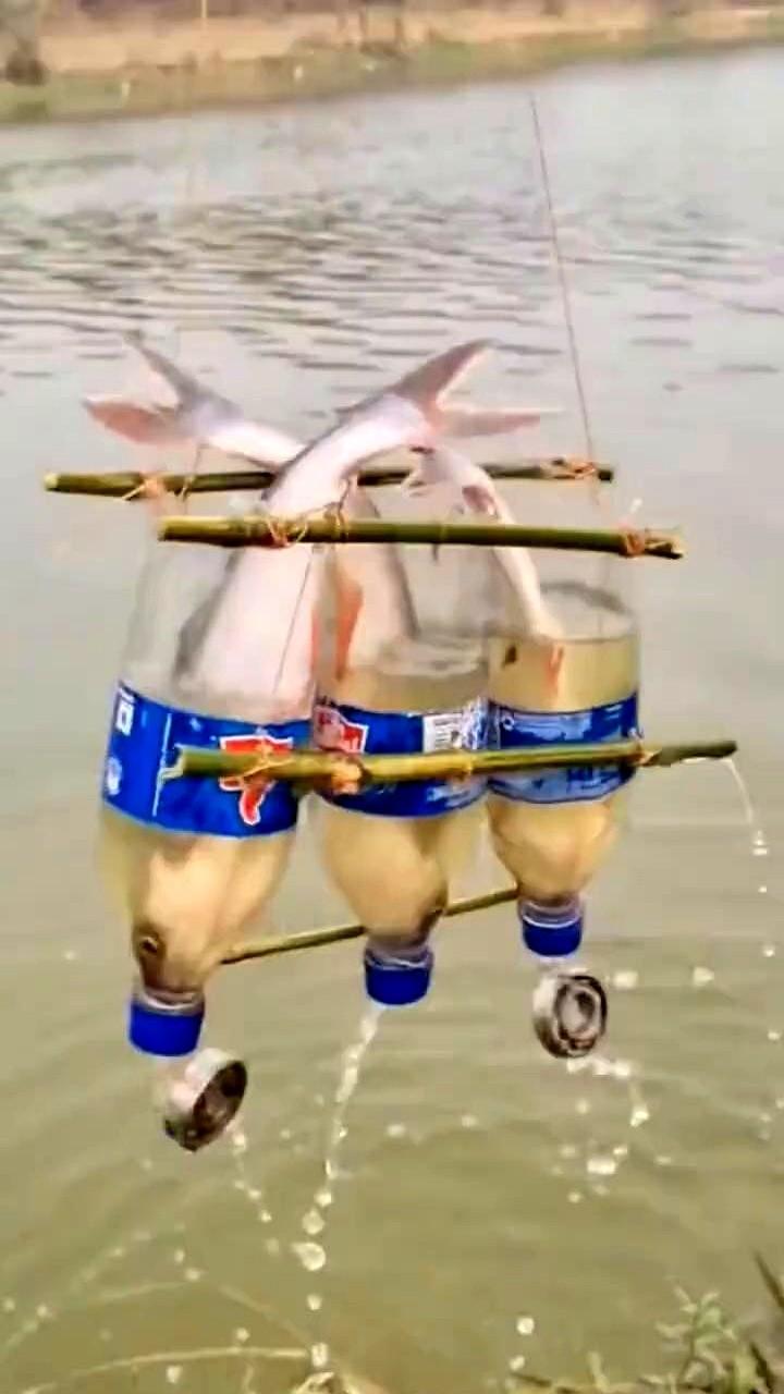 彻底服了！这哥们的捕鱼方式真不是盖的。

就地取材，搞来3个大塑料瓶串一起。最绝