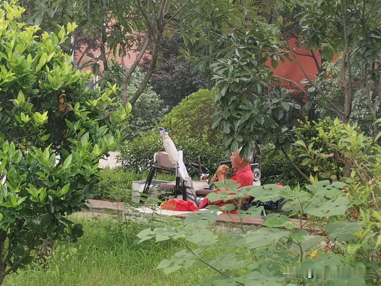 周日的午后，一名男子藏身于绿荫之间，忘情放声高歌。此地环境清幽，绿植的一旁便是一