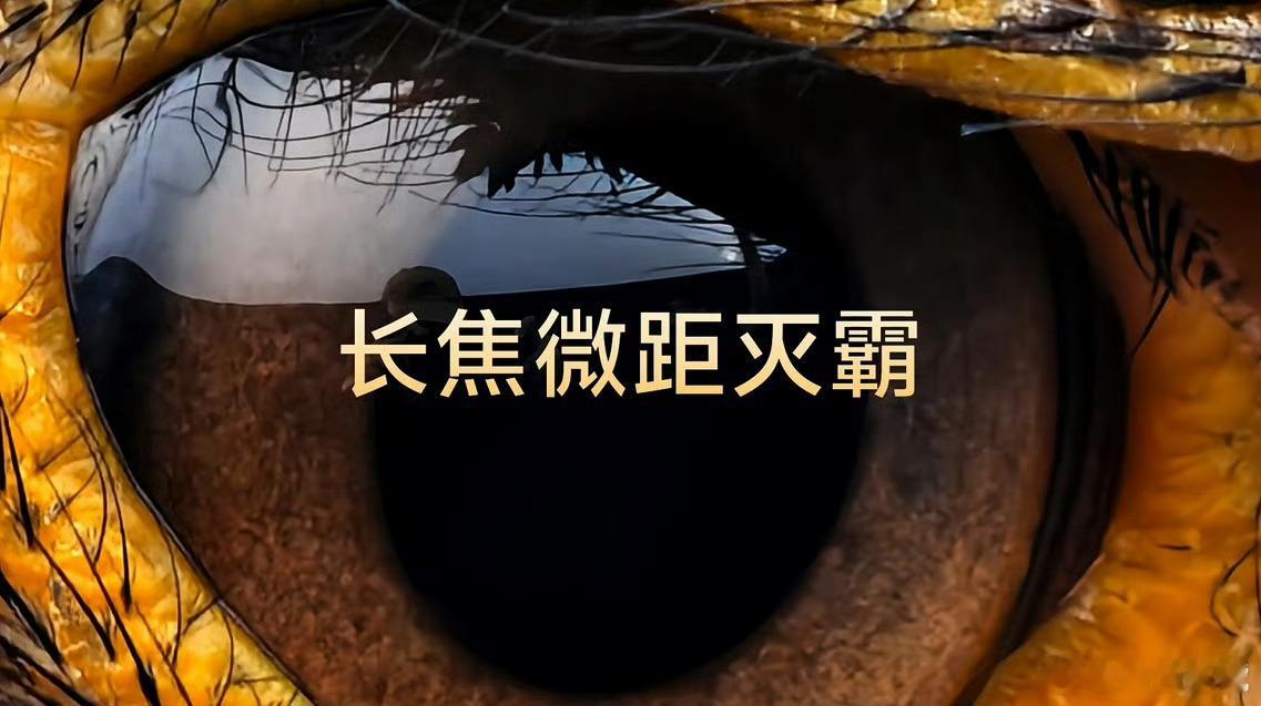 #vivo[超话]#长焦微距灭霸，vivo X100 Ultra这描述真的是万分