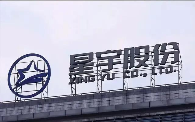 星宇股份羞辱式裁员是企业文化的产物！

公司根本没有考虑孩子的生存和就业，只认为