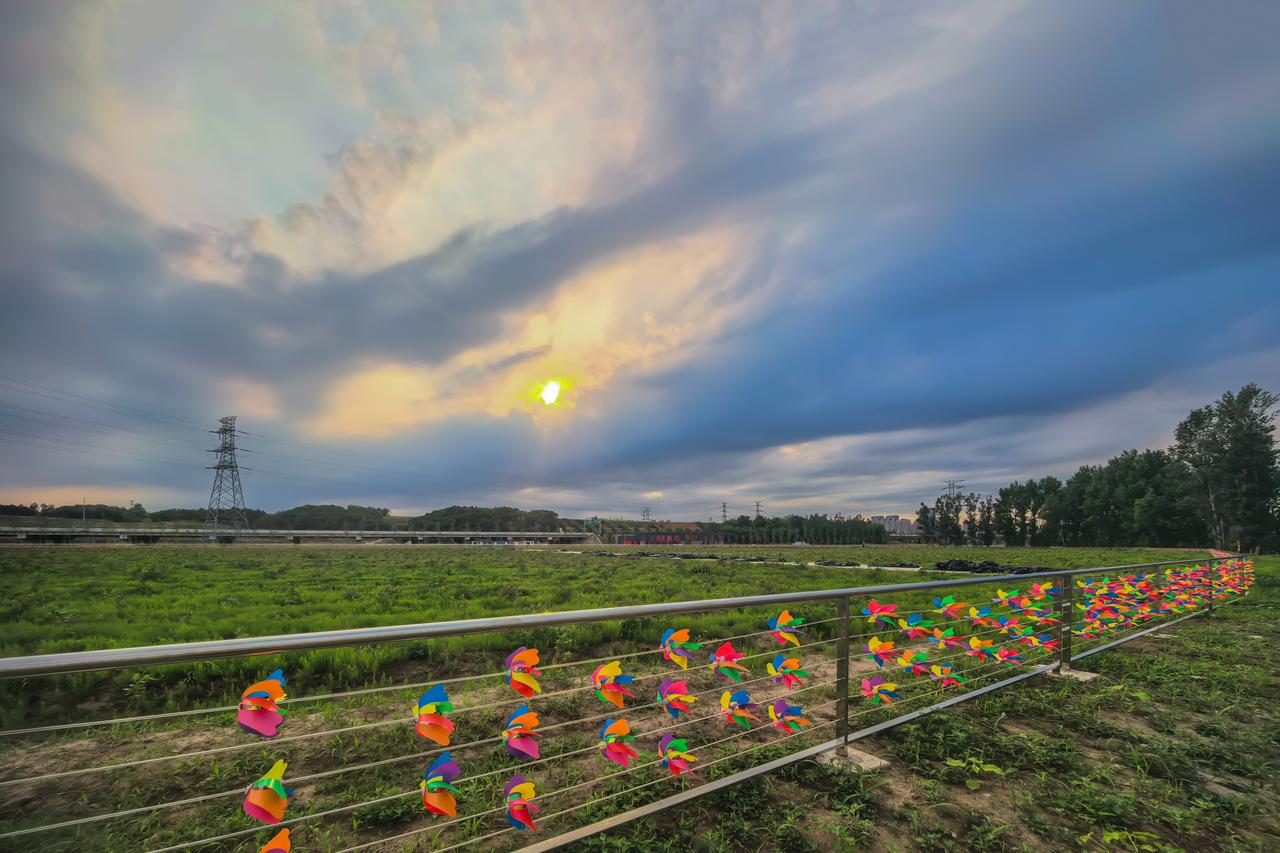 伊通河畔，一篱风车护蓝园

昨天下午晚些时候，沿伊通河西岸生态步道向南骑行。天色