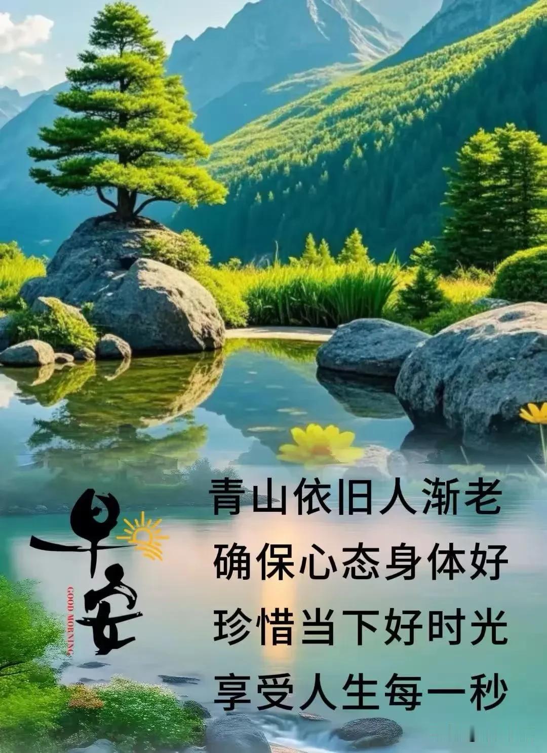 《七律·晨怀知己》

顺风顺水又新天，
暖意佳音送眼前。
知己相交无冗语，
良朋