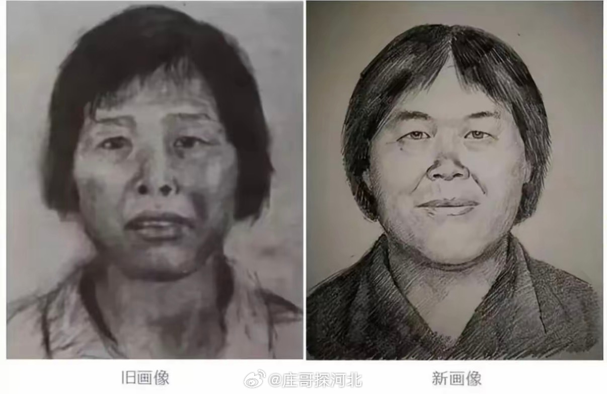 梅姨被逮捕【二十载炼狱终得见青天：人贩子“梅姨”落网与九个家庭的漫长守望】作为一