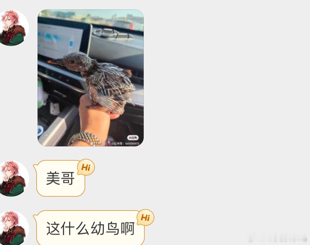 翠鸟的宝宝窝在河边的土崖上，一般不会被捡到，除非是挖掘机啥的施工可能会挖到图三是