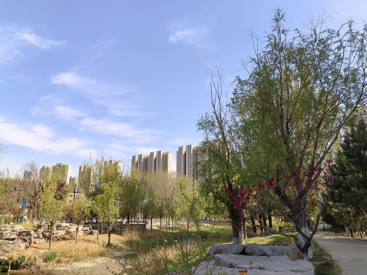 一对母子不经意间的对话太有趣，现在的小孩子真的不得了。
上午在公园散步，无意中听