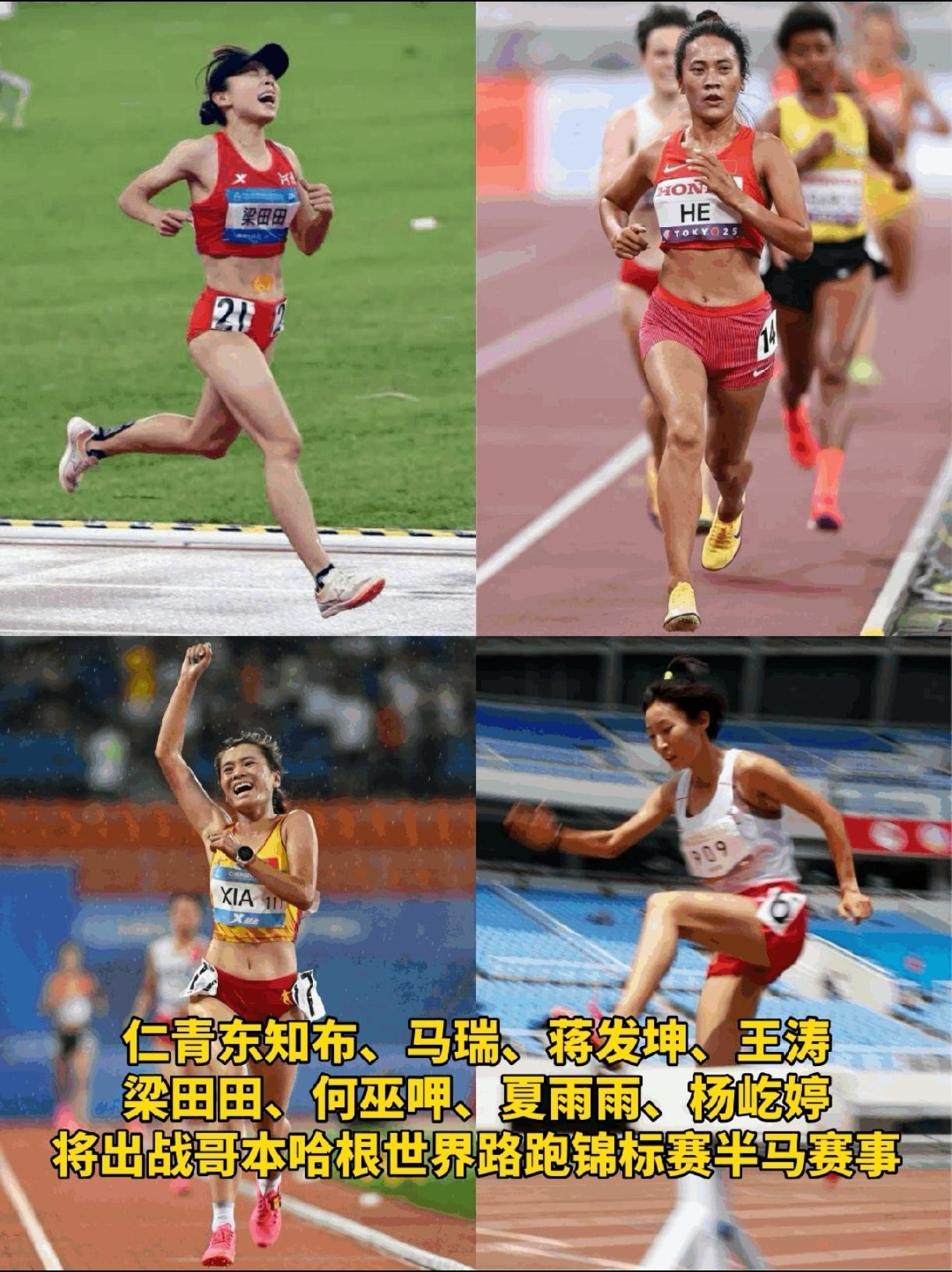 2026世界路跑锦标赛中国队8人完整名单出炉！
 
7月14日中国田协正式官宣！