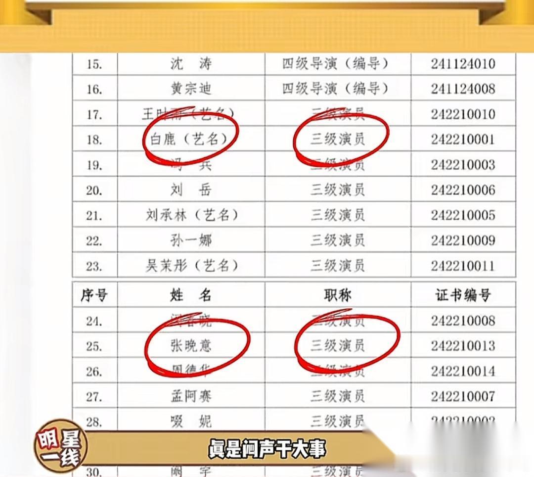 为什么同样都被“破格”评为3级演员，大家只抨击白鹿，不提张晚意？ 今天下午，热搜