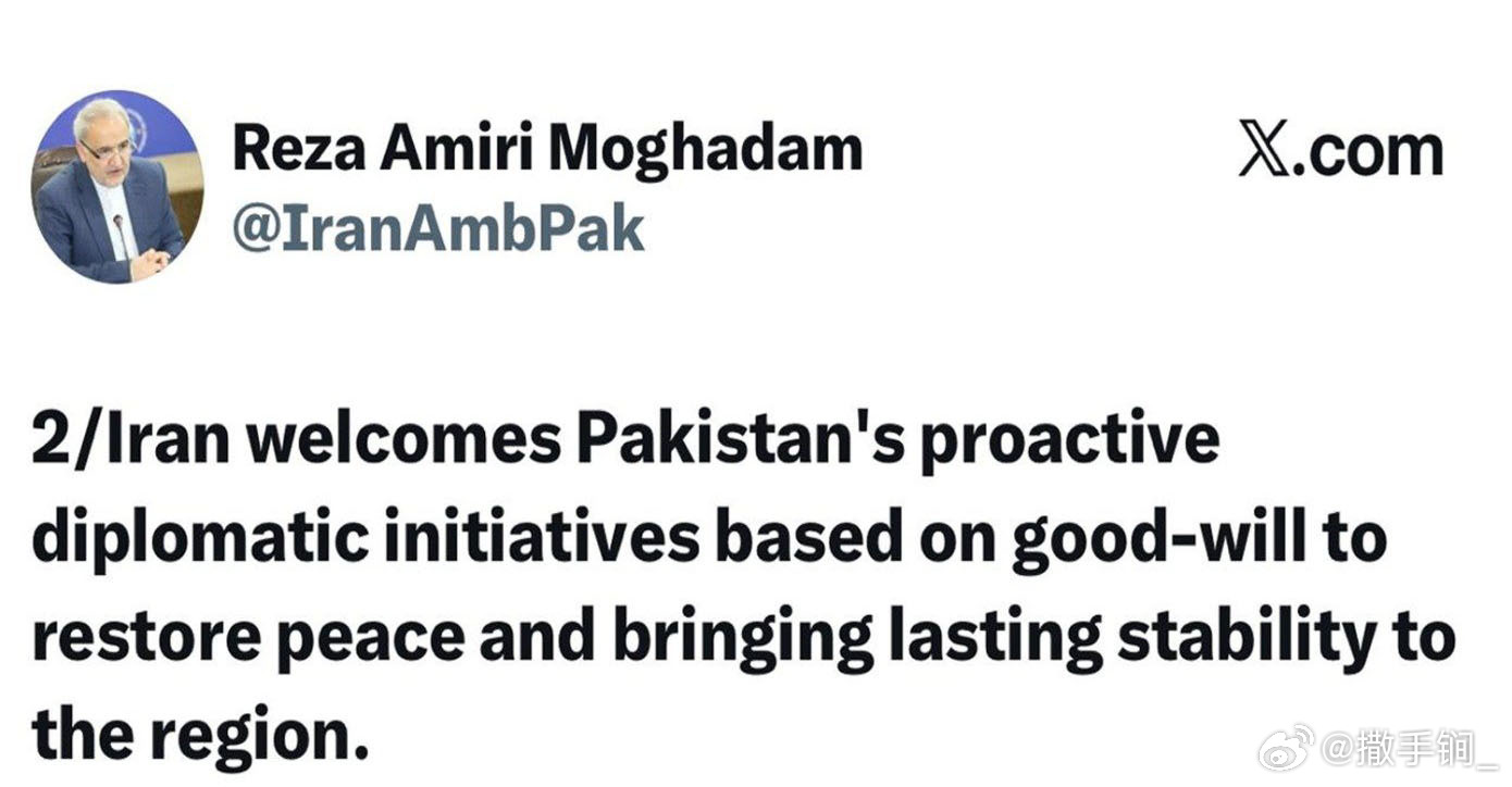 在巴基斯坦主持召开四国外长会议后，伊朗驻巴基斯坦大使发帖说：“伊朗欢迎巴基斯坦基