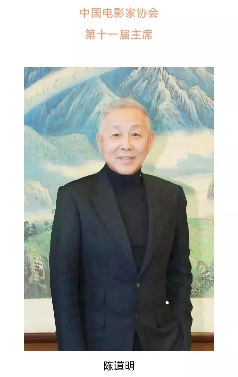 将来陈道明退休后，其他几位副职，哪位最有希望坐上正职的宝座？

吴京是不是最有希