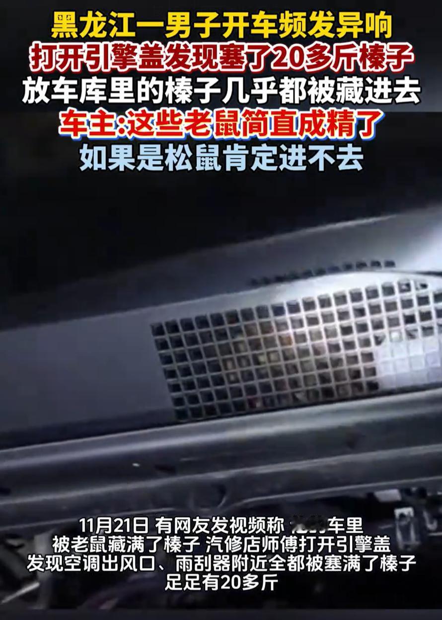 黑龙江，一男子开车时发现车里有异响，总觉得不对劲，于是把车开到汽修店，没想到，工