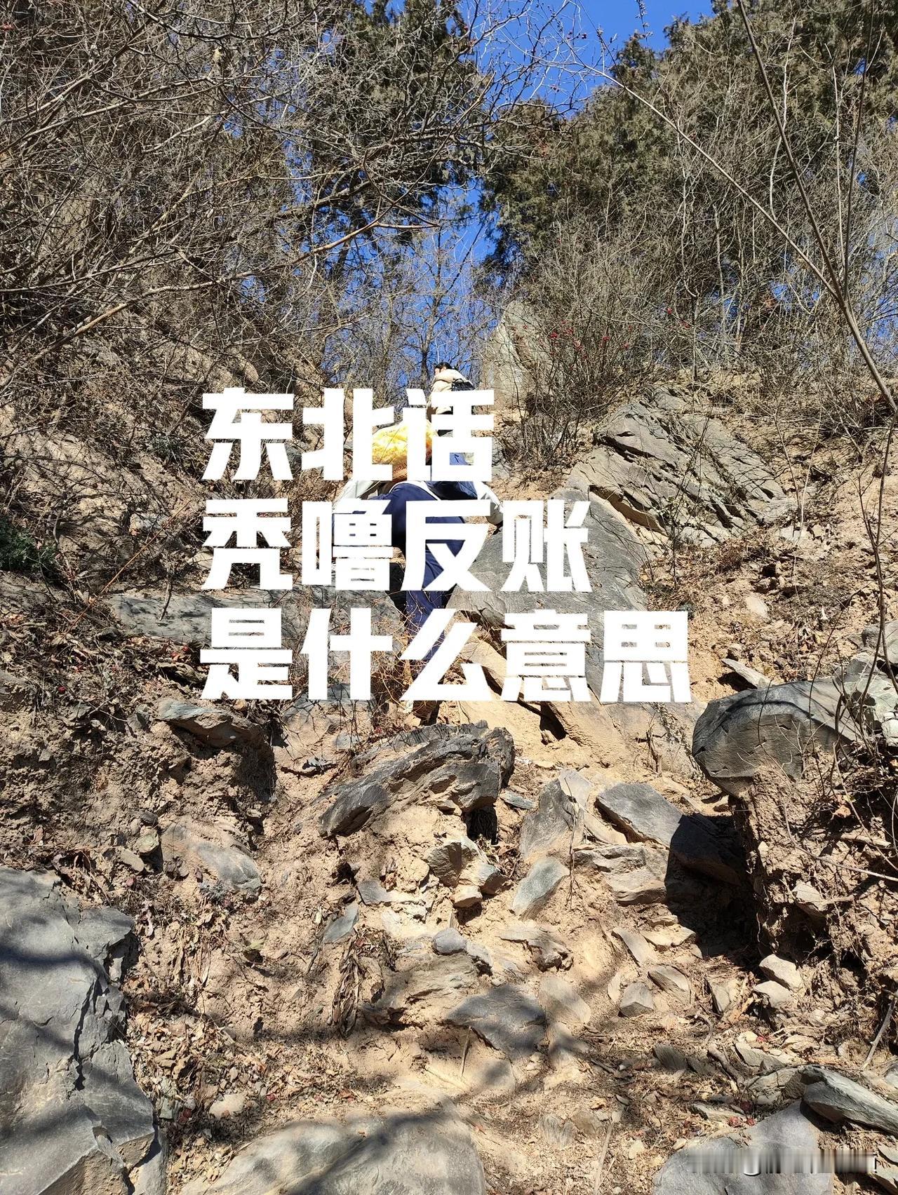 东北话“秃噜反账”是什么意思？今天的话题是秃噜反账，你们听说过吗，这个真是有点难