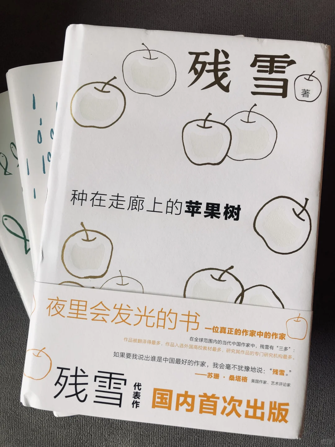苹果树｜2024年诺贝尔文学奖 热门候选 必读