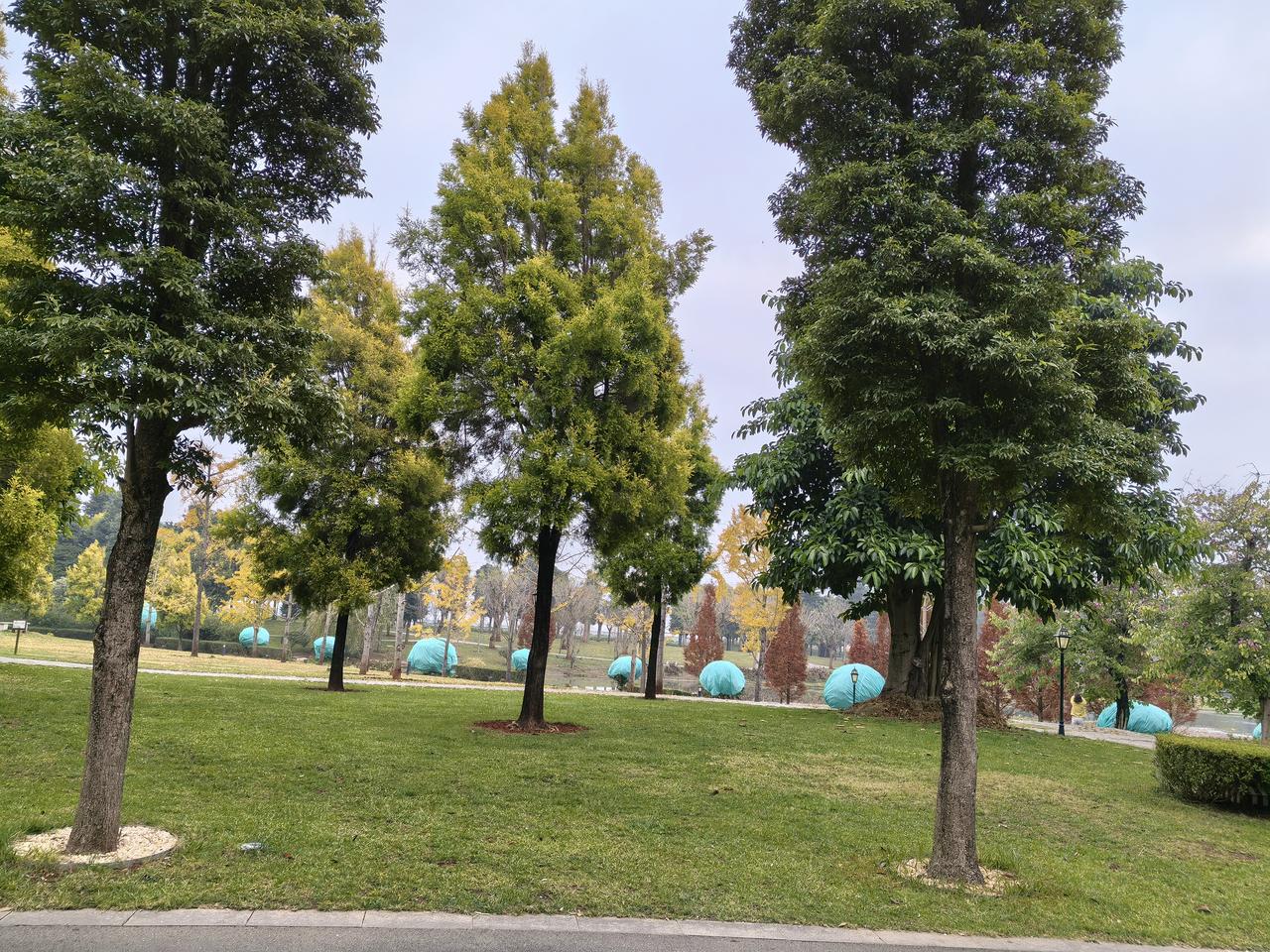 一晃眼，在悄无声息的四季更替里，又多活了一岁。