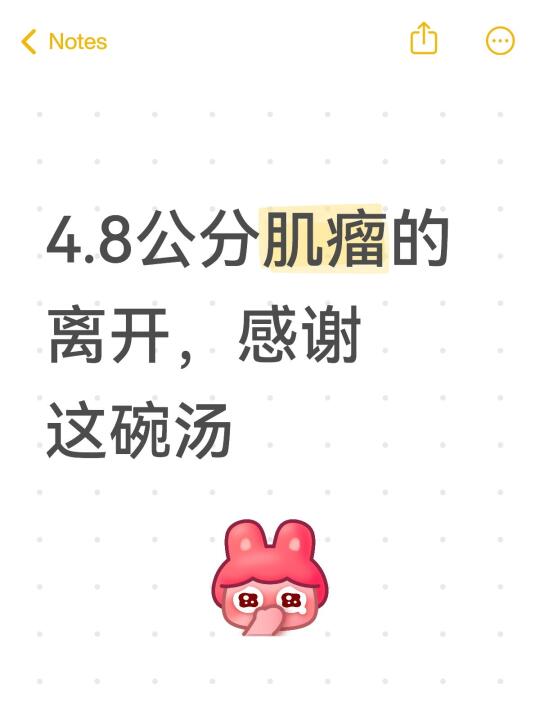 4.8公分肌瘤的离开，感谢这碗汤‼️