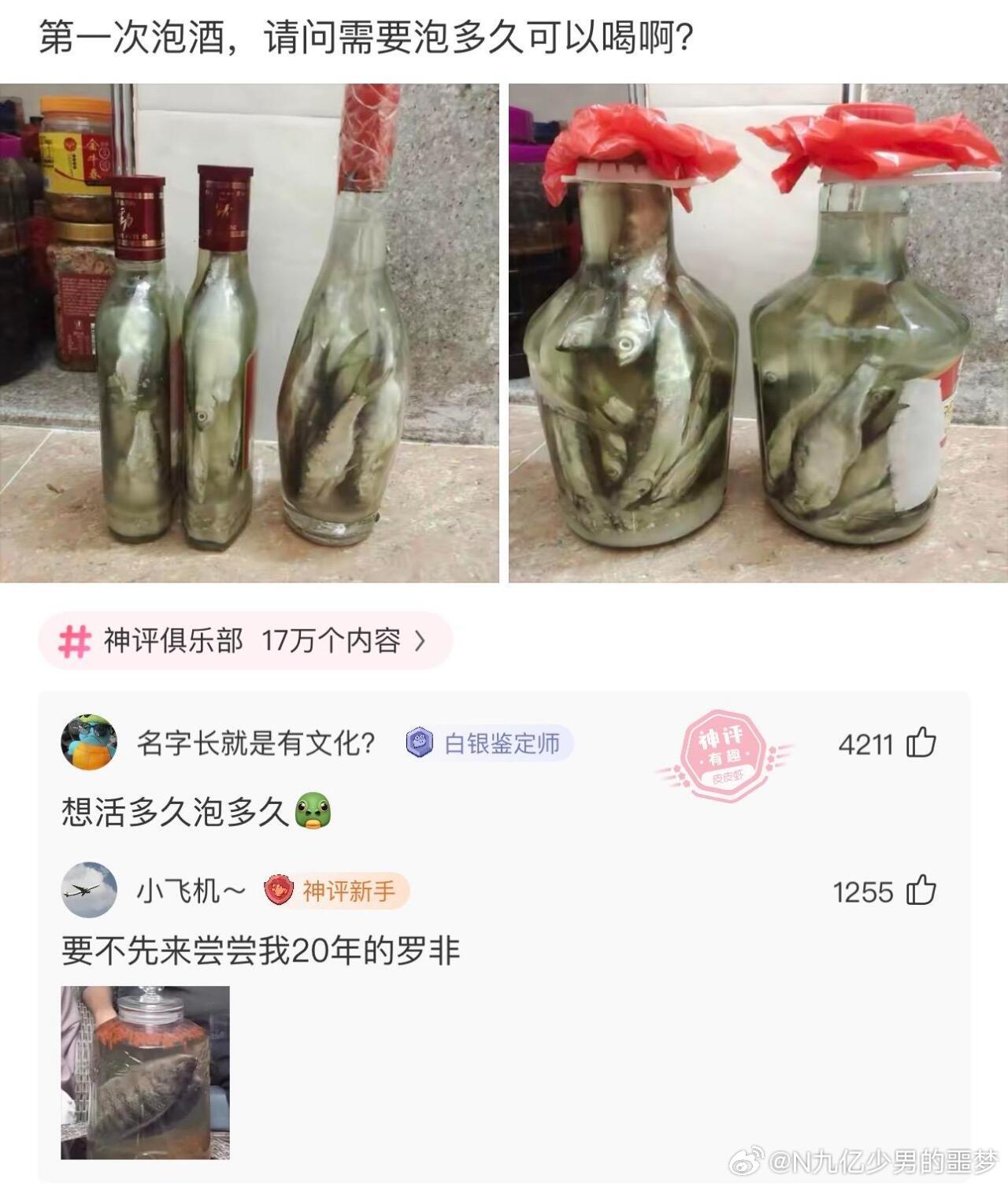 我怕鱼把你的酒喝完。 