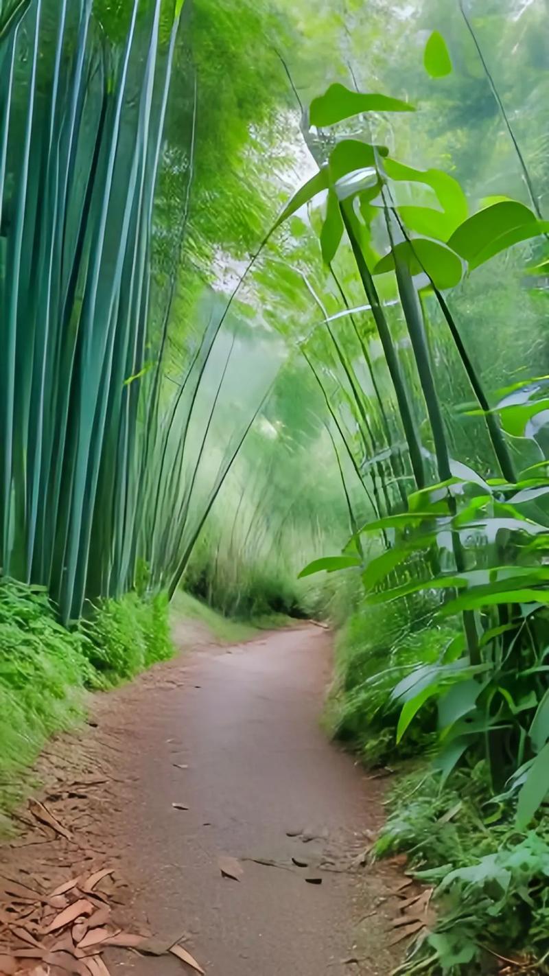 天蝎座最独特的心情疗愈方式就是沉默
但是往往这种自我封闭让别人误以为
她们是在冷