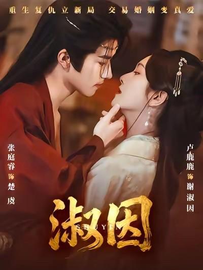 表面病弱的王爷，背地里竟是天下第一毒医兼首富。
张庭睿演的这位王爷，把“装弱”玩