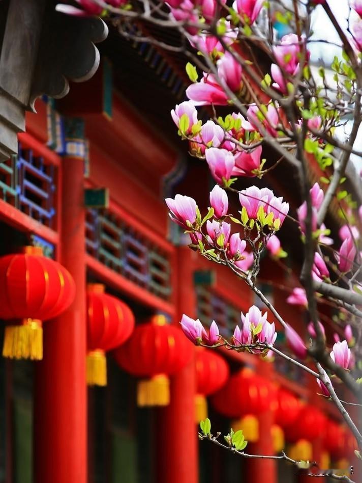 婚姻的本质意义：不是一张纸，而是一场修行

有人说，婚姻是爱情的坟墓。也有人说，