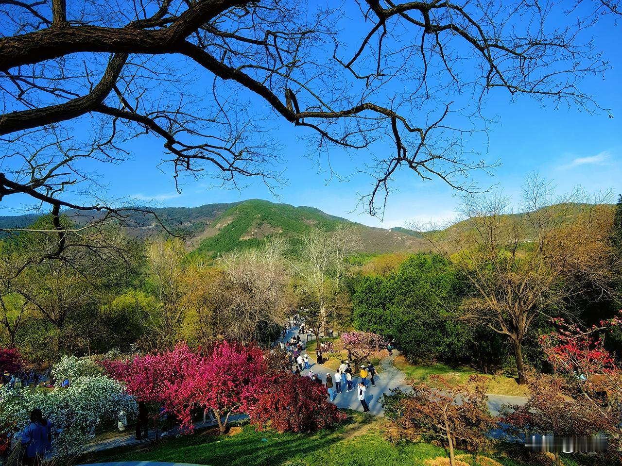 老年生活感悟：老年人，学会装傻，是人生大智慧。
 
我们步入晚年了，才慢慢明白，