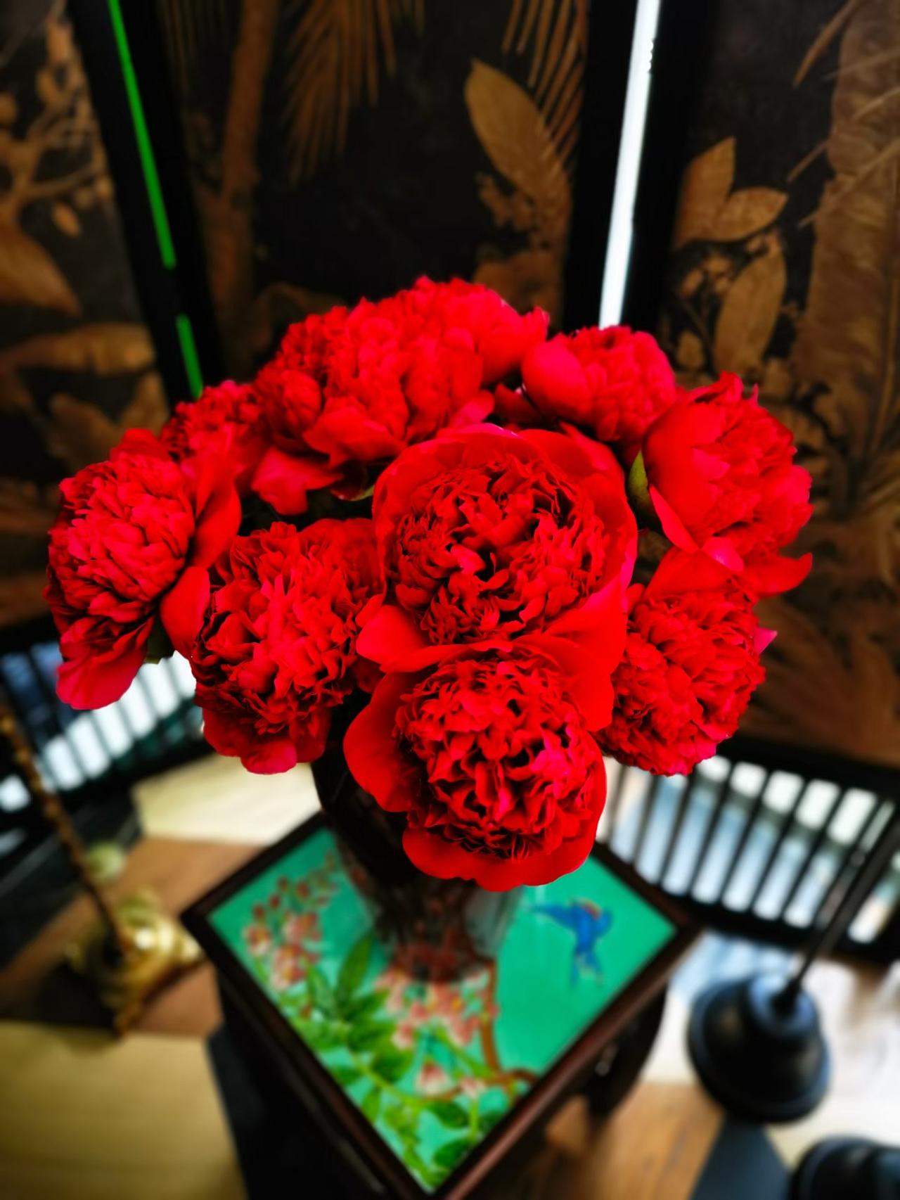 浩态狂香昔未逢，
红灯烁烁绿盘龙。
觉来独对情惊恐，
身在仙宫第几重...