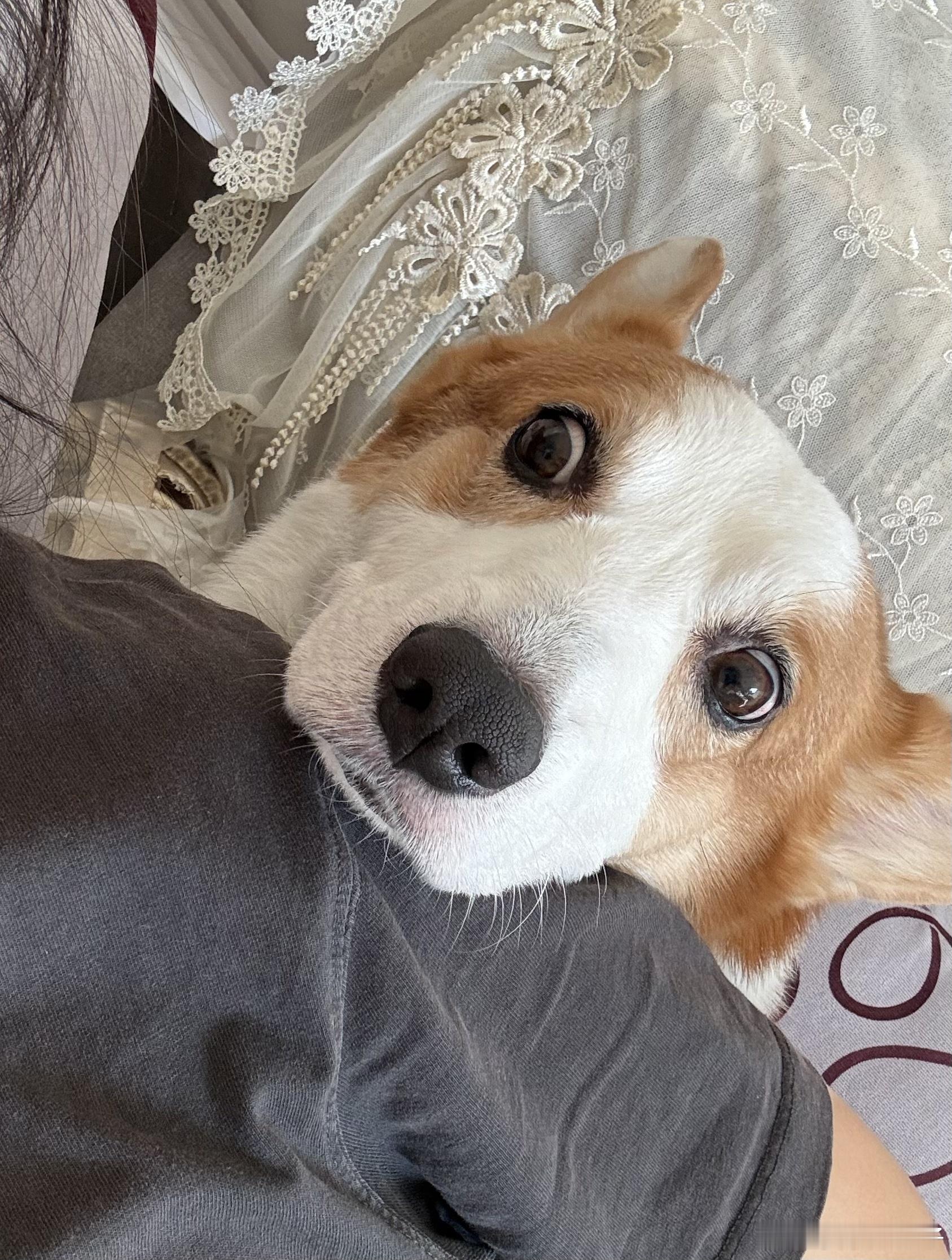 疯狂求救的Joker大金子状态电竞大金子