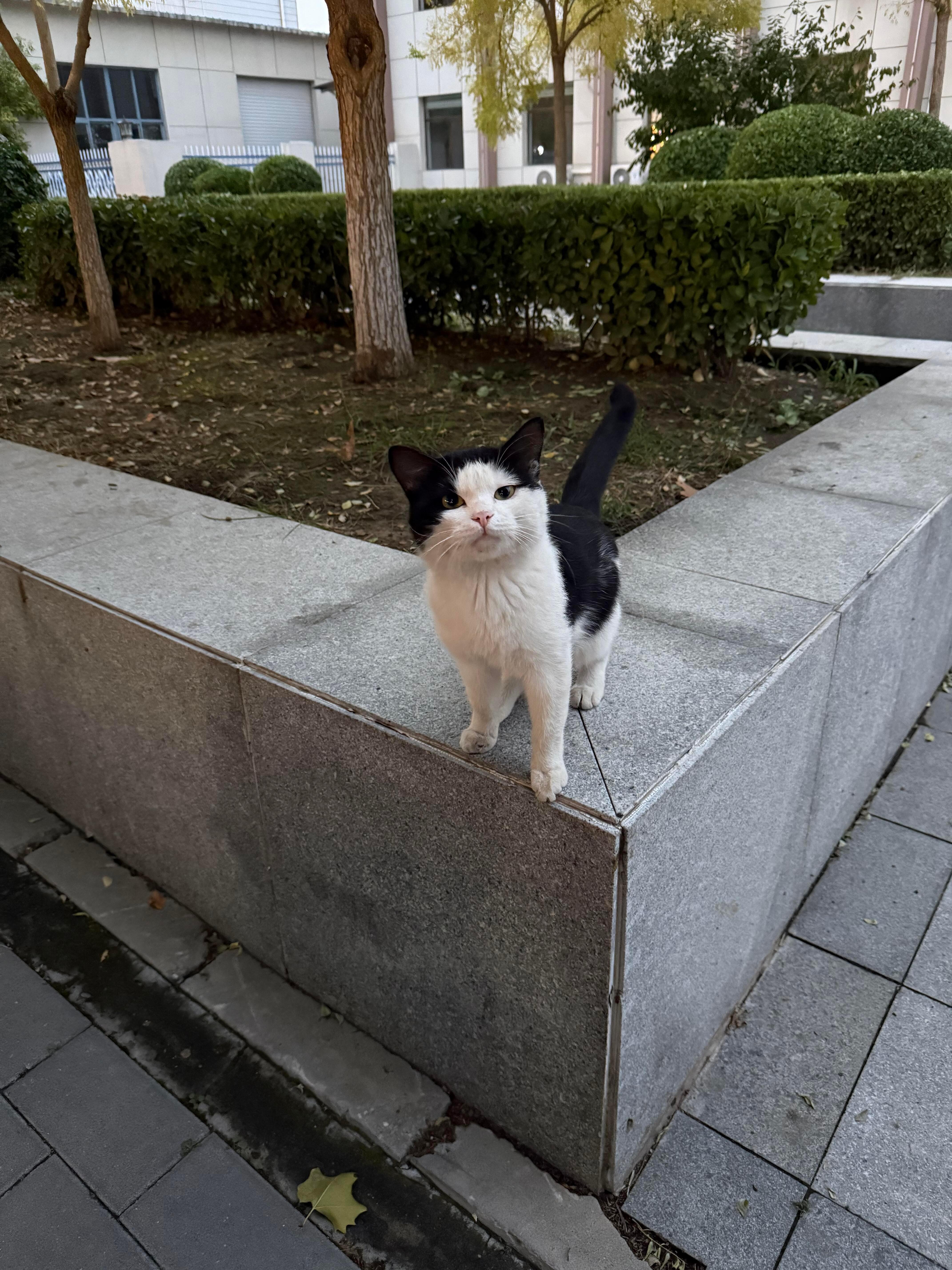 出去打猎早点回家哦！ ​​​