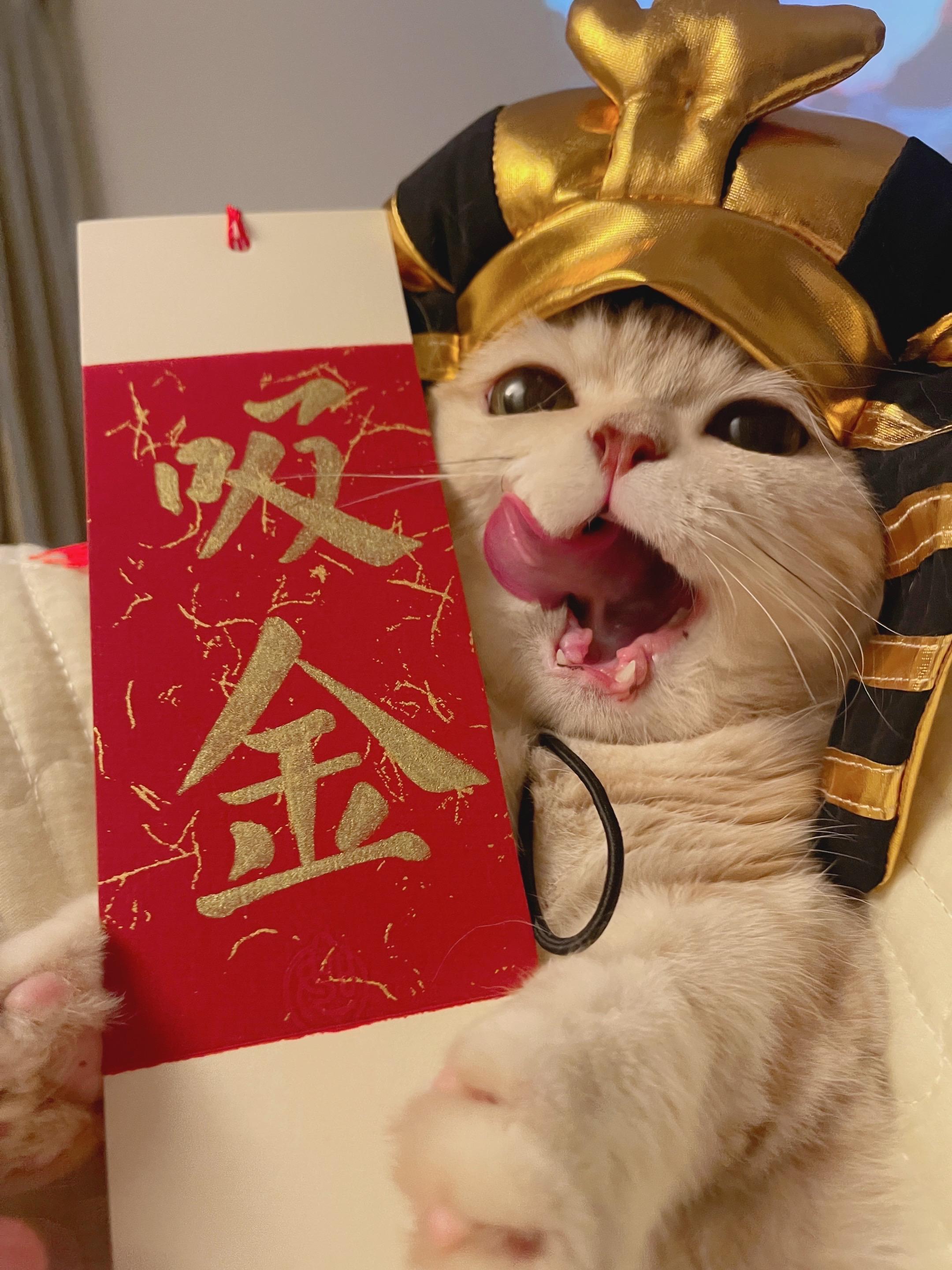 刷到这条的 本法老送你超级吸金体质！