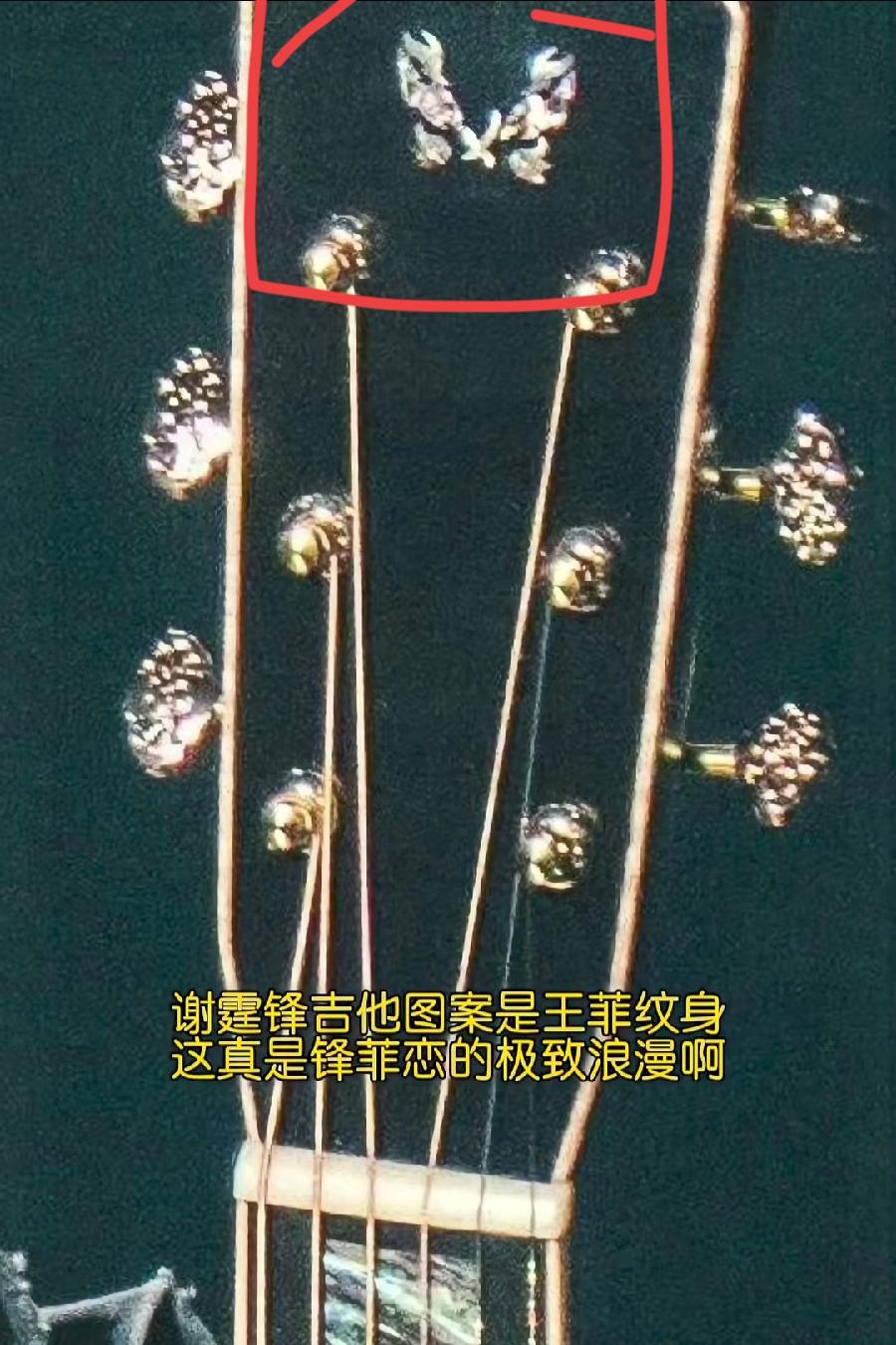 看了演唱会上谢霆锋的吉他，我才明白，最爱王菲的一定是谢霆锋，但最适合跟王菲组建家