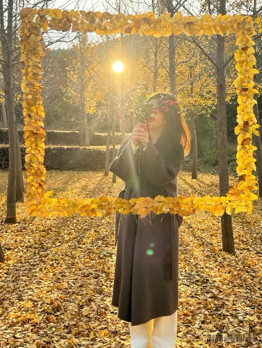 冬日生活打卡季