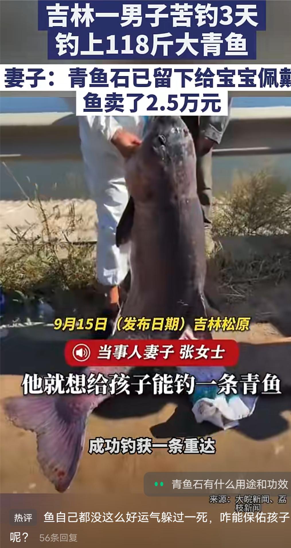 吉林松原一男子为给宝宝求取“辟邪”青鱼石在水库苦钓三天，成功钓获一条重达118斤