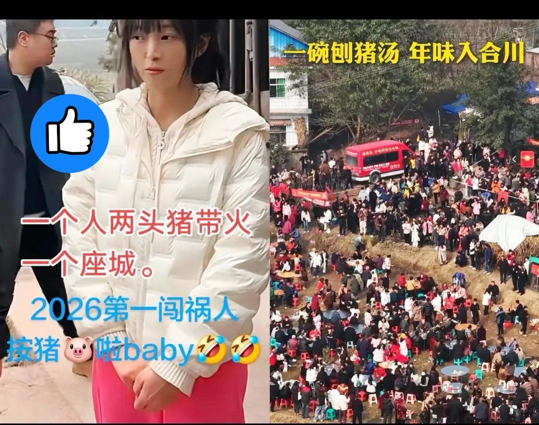 我跟朋友猜合川呆呆杀猪宴能赚100万，结果被狠狠打脸——人家三天净赚400多万！