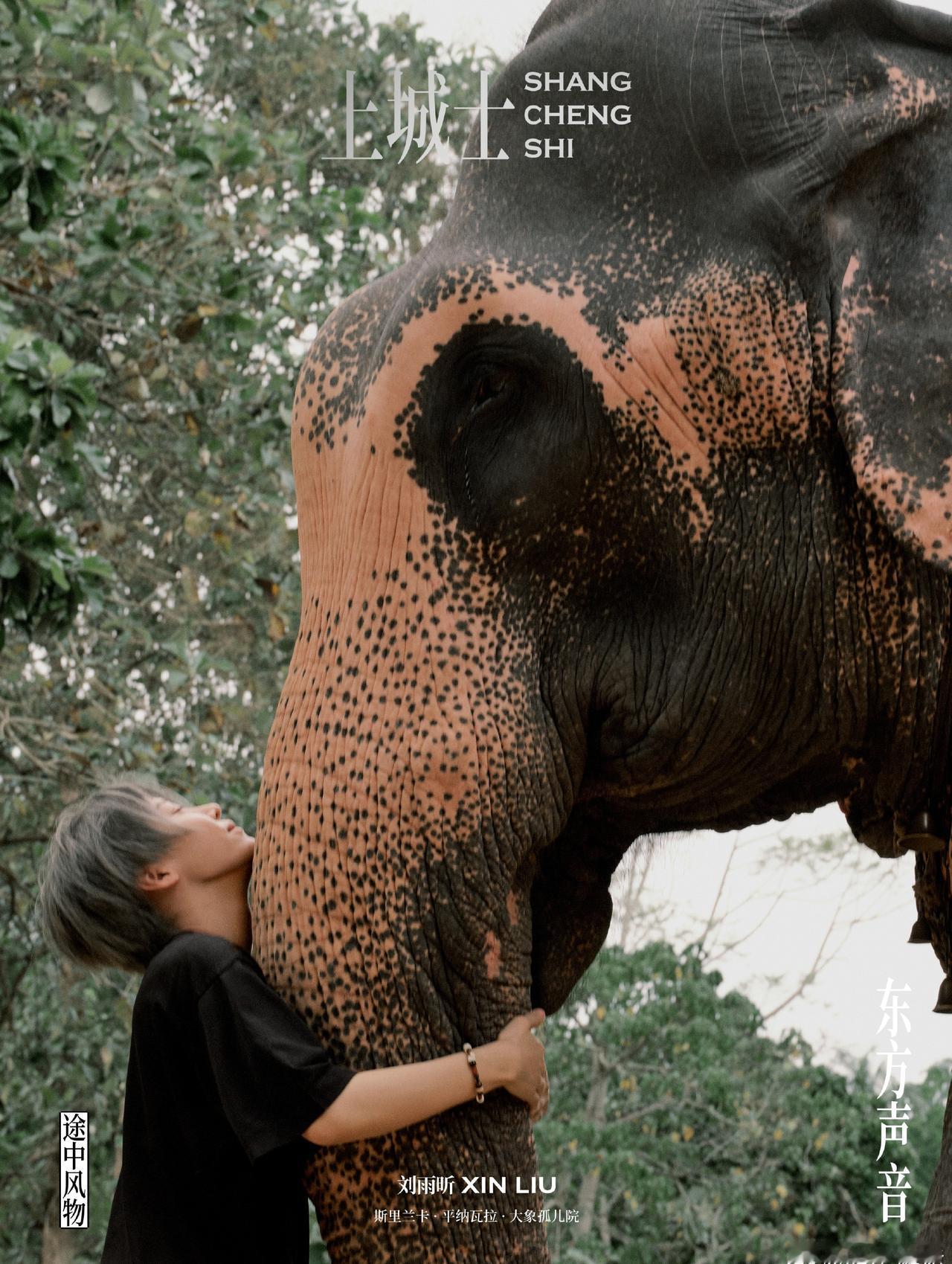 刘雨昕登上城士3月开季封面，她漫步斯里兰卡，将自然声响与人文诗意融入镜头，清冷气