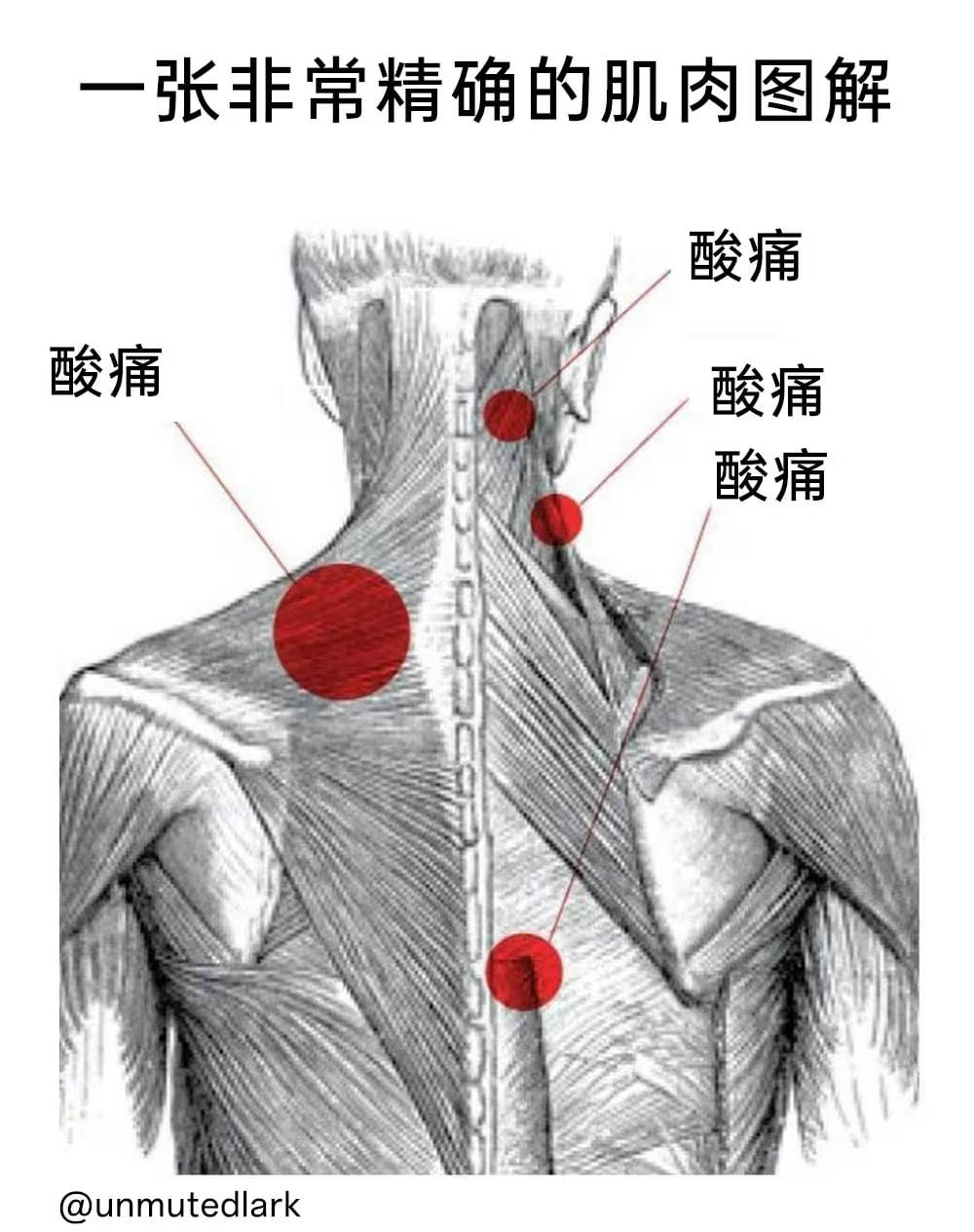 pipi糊的bot  大家觉得做什么事情会非常疲劳？ 