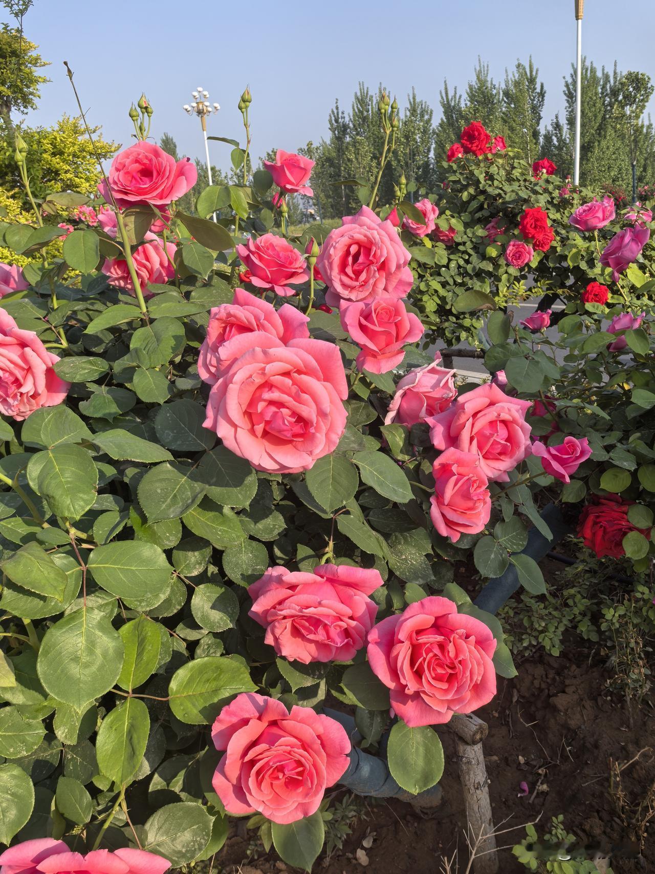 我老公的侄女，
花10来万读了个大专。
毕业两年换了三份工作，然后就没有然后了。