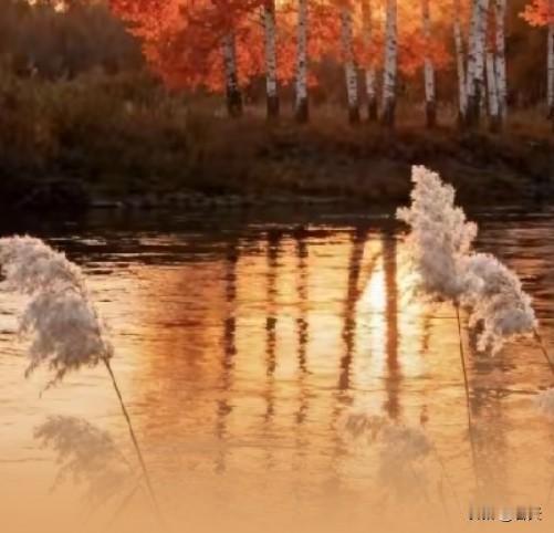 霜天醉色，枫染秋光
 
金乌熔水流长河，霜苇摇风弄晚霞。最是枫林贪醉色，漫山红透