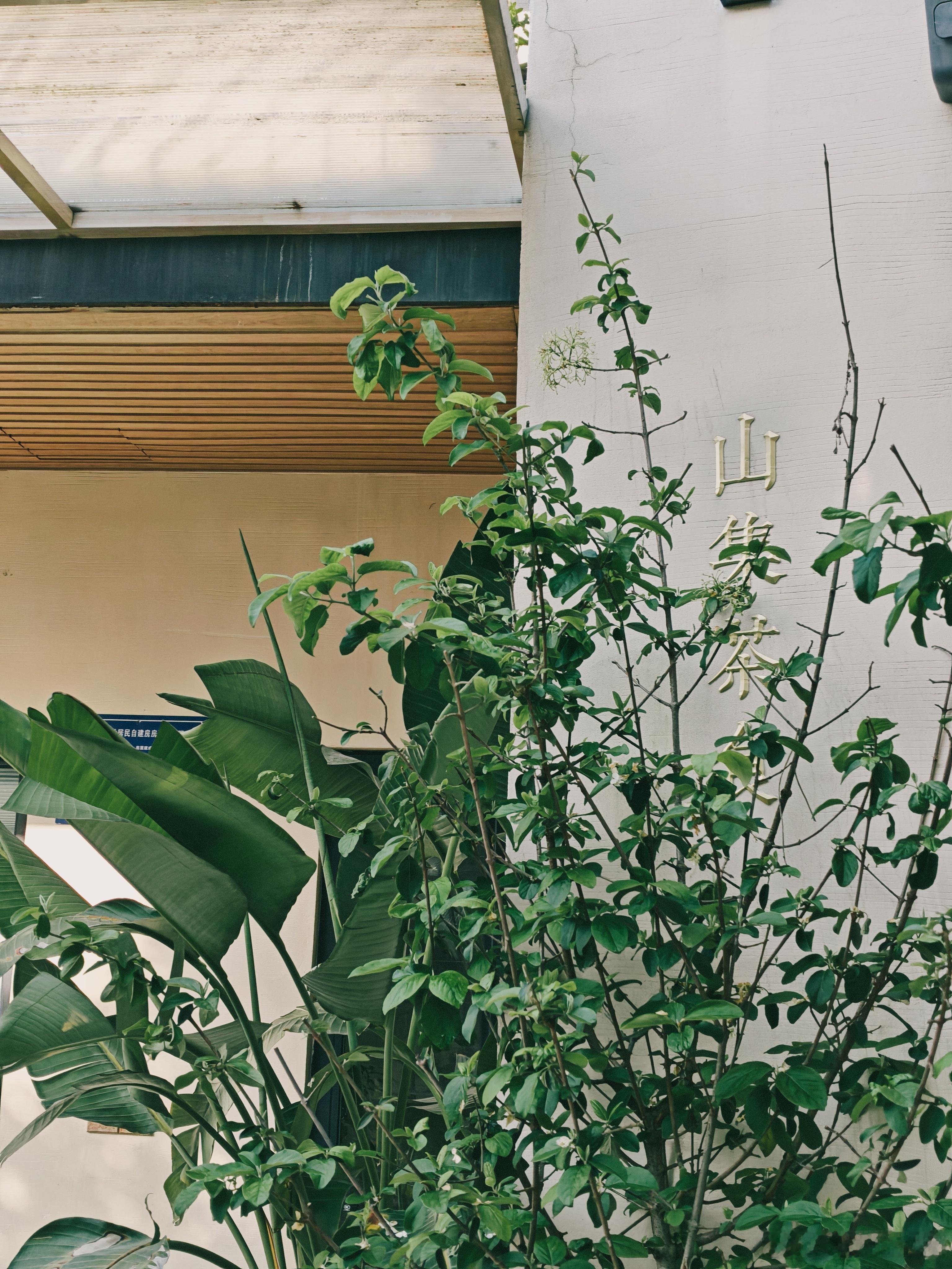 最近，思考人生。