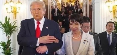 中日关系崩了，所有人都以为日本是在替美国冲锋、替台湾站台！一位美国专家直接把底裤