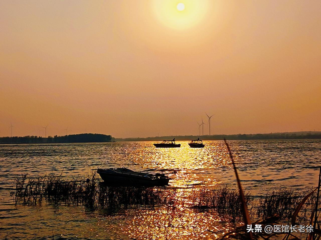 情感专家，性商专家造成了不再生育的社会现象。

前一段时间大家都在讨论这个话题，