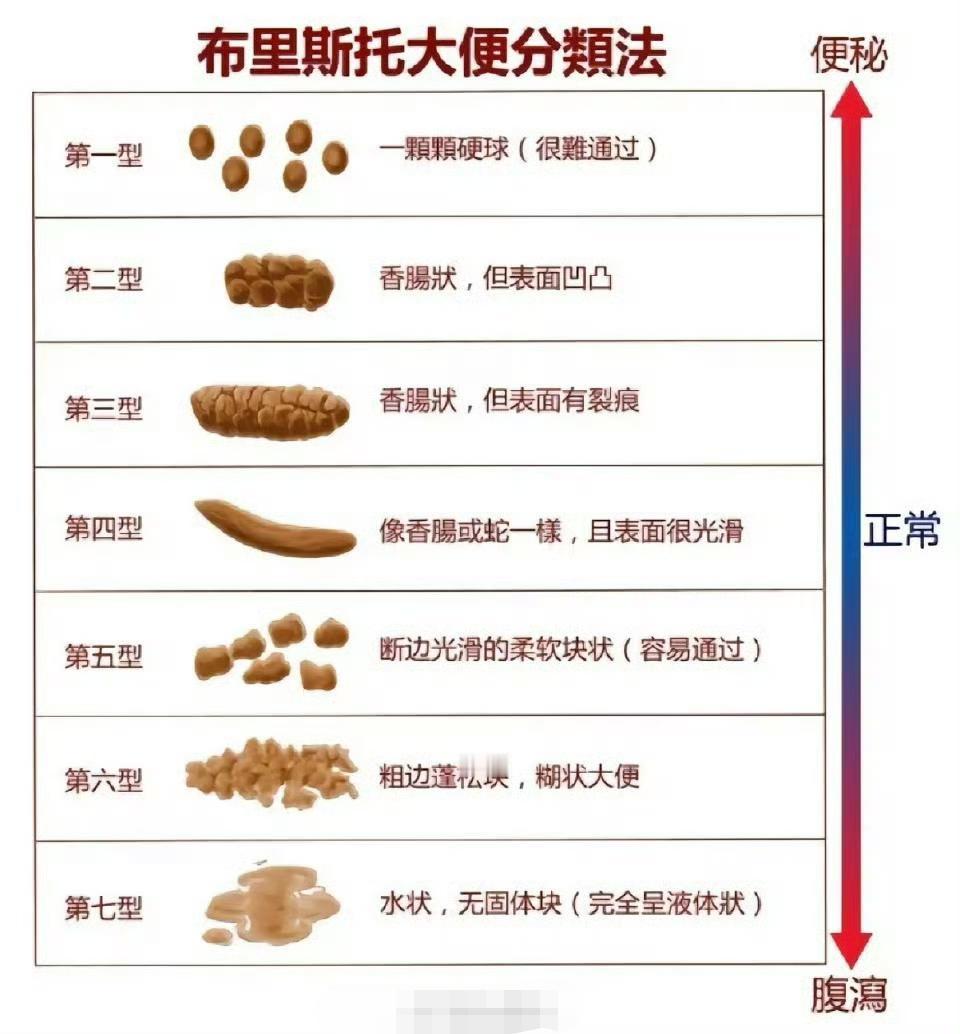 布里斯托大便分类法，以后大便形态不成型时可以参考，长期大便形态不正常一定要及时就