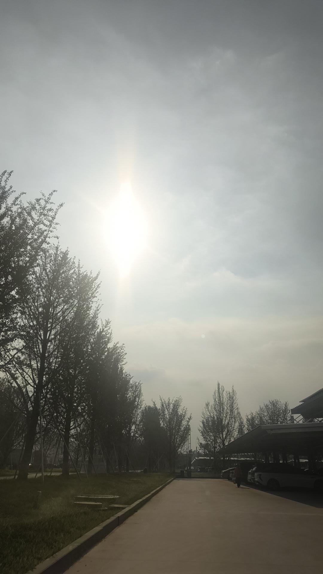 夏日生活打卡季山东鲁西南大太阳🌞。