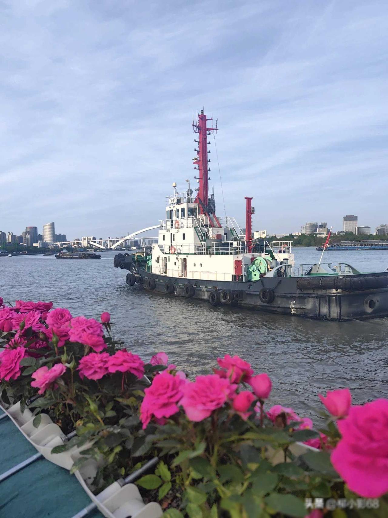 #我眼中的城市美景#
今天徐汇滨江西岸真是热闹极了！人山人海，简直就像是一座欢乐