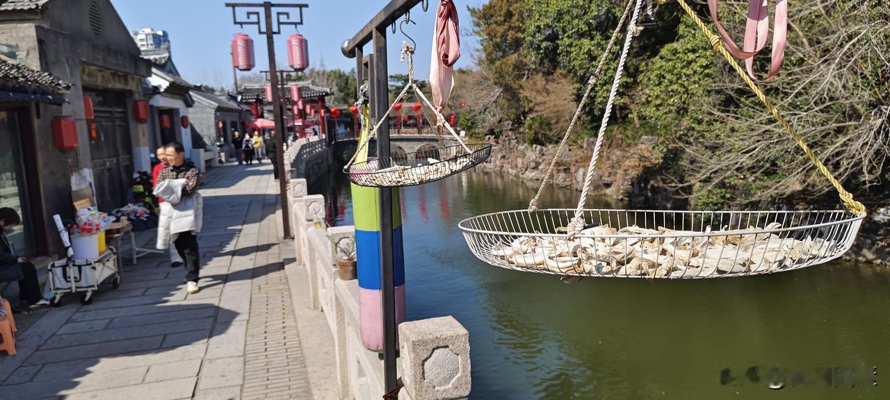 如何评价郭有才的歌唱才华?这个世界有点猛，网络口味有点重。郭有才