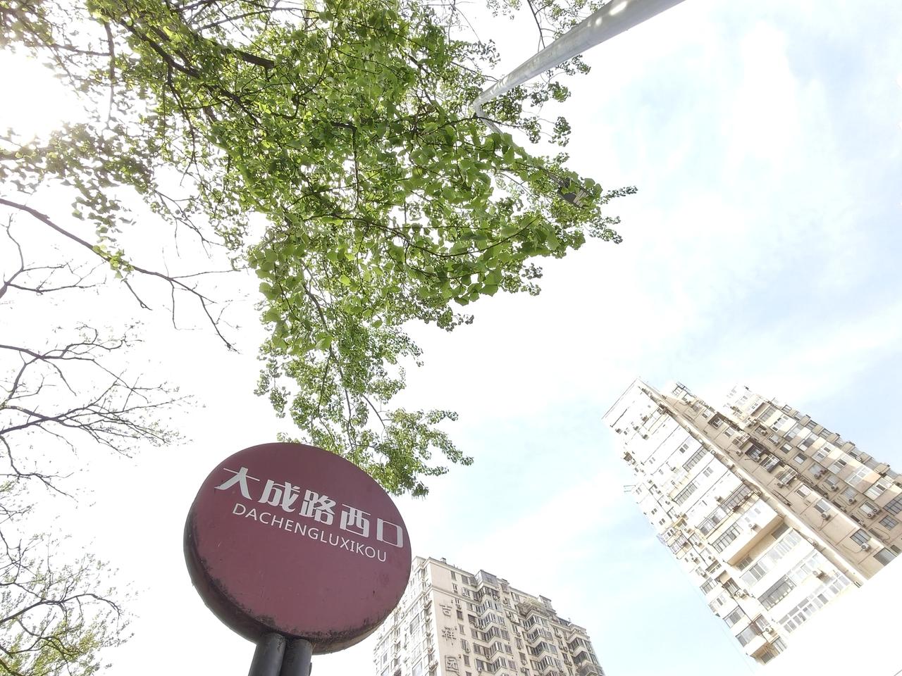 上联：草木枯黄秋色尽，求下联。劲枝泛青春意新