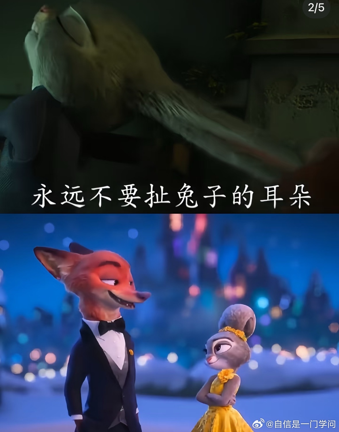 动画世界的雌性动物和真实的雌性动物 ​​​