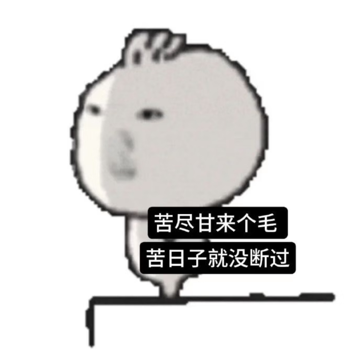 上能上吊 下能跳楼 这就是我能屈能伸的人生 